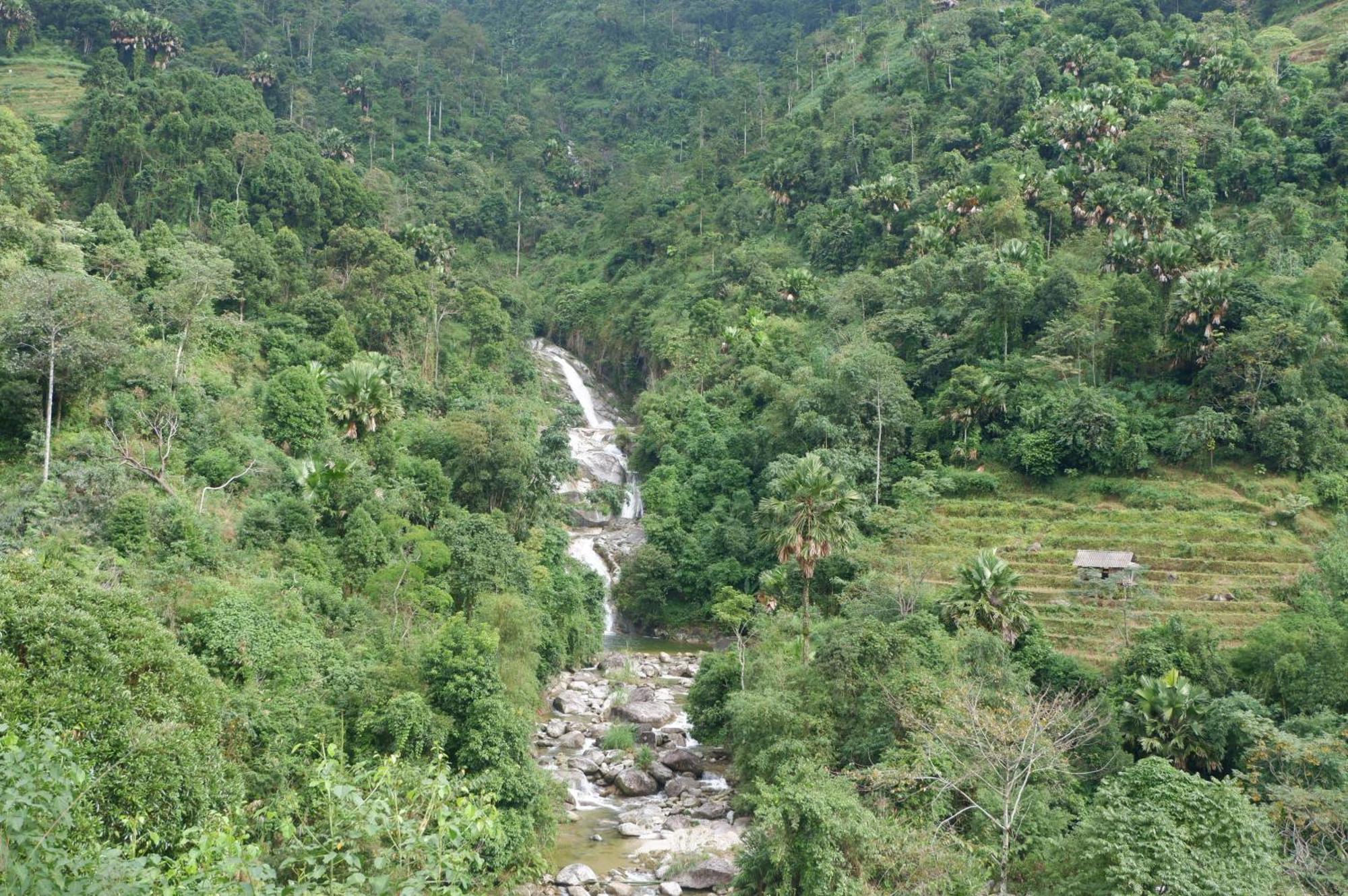 Bikki'S Jungle Homestay Ha Giang Esterno foto