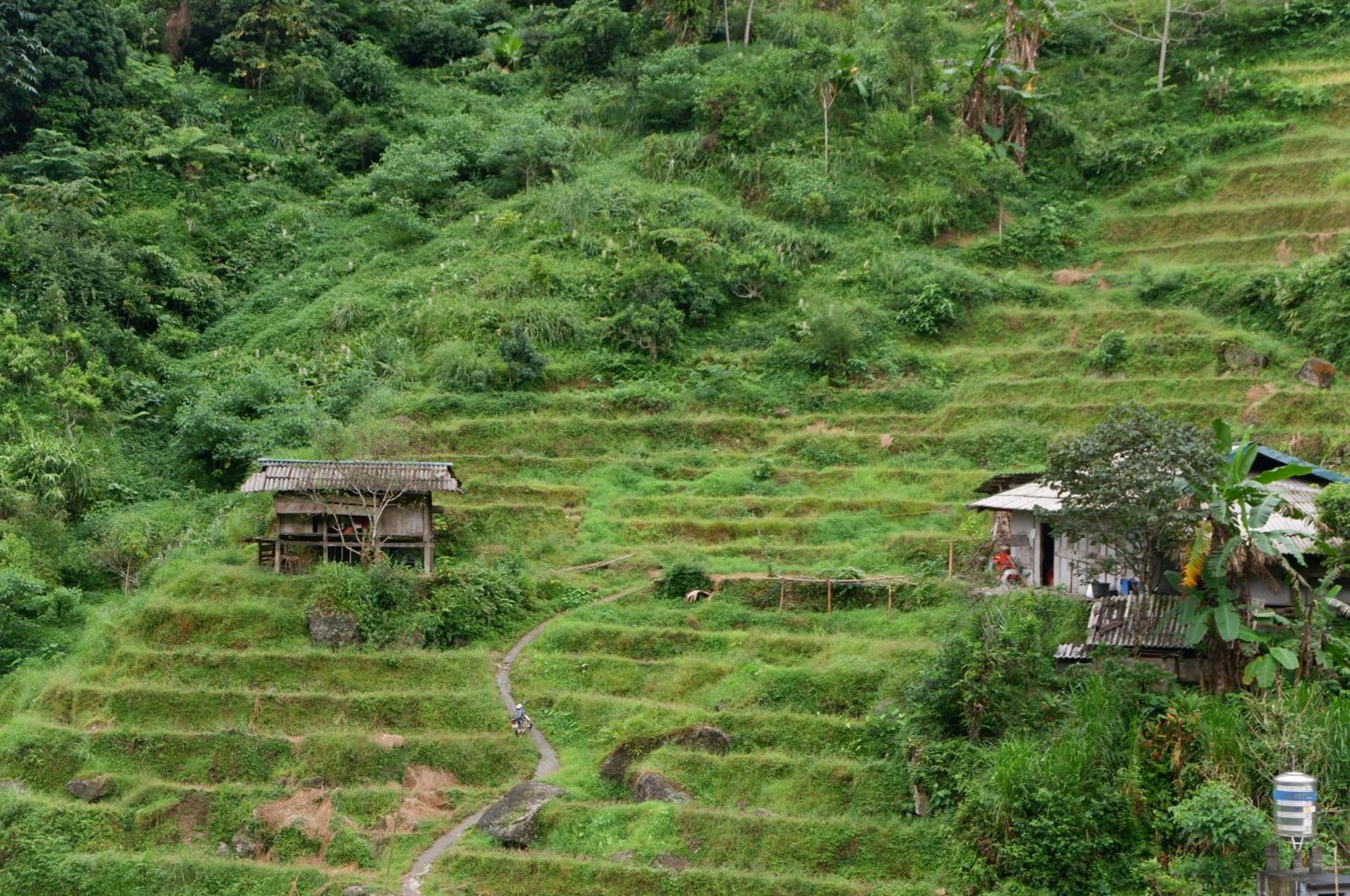 Bikki'S Jungle Homestay Ha Giang Esterno foto