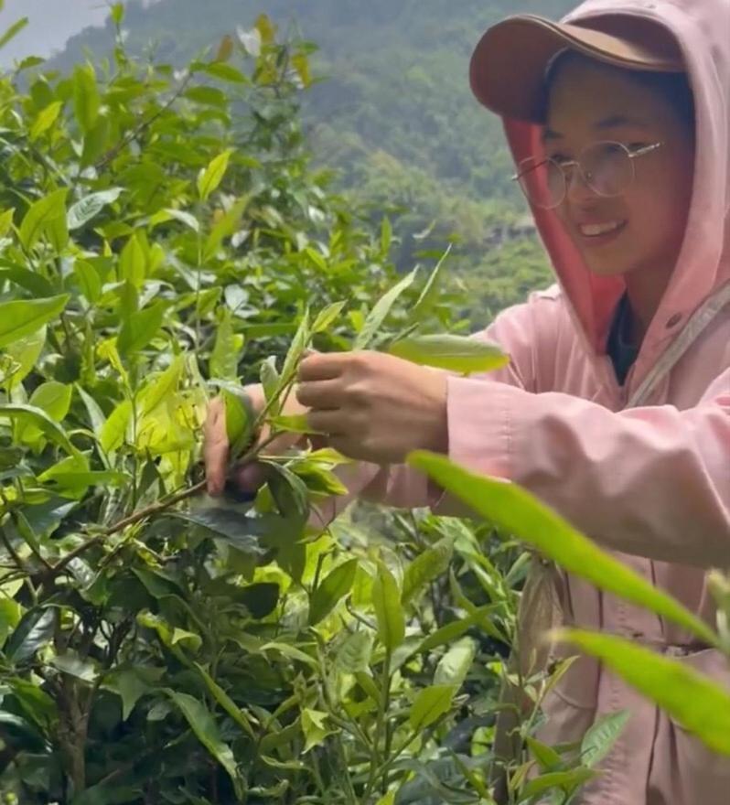 Bikki'S Jungle Homestay Ha Giang Esterno foto