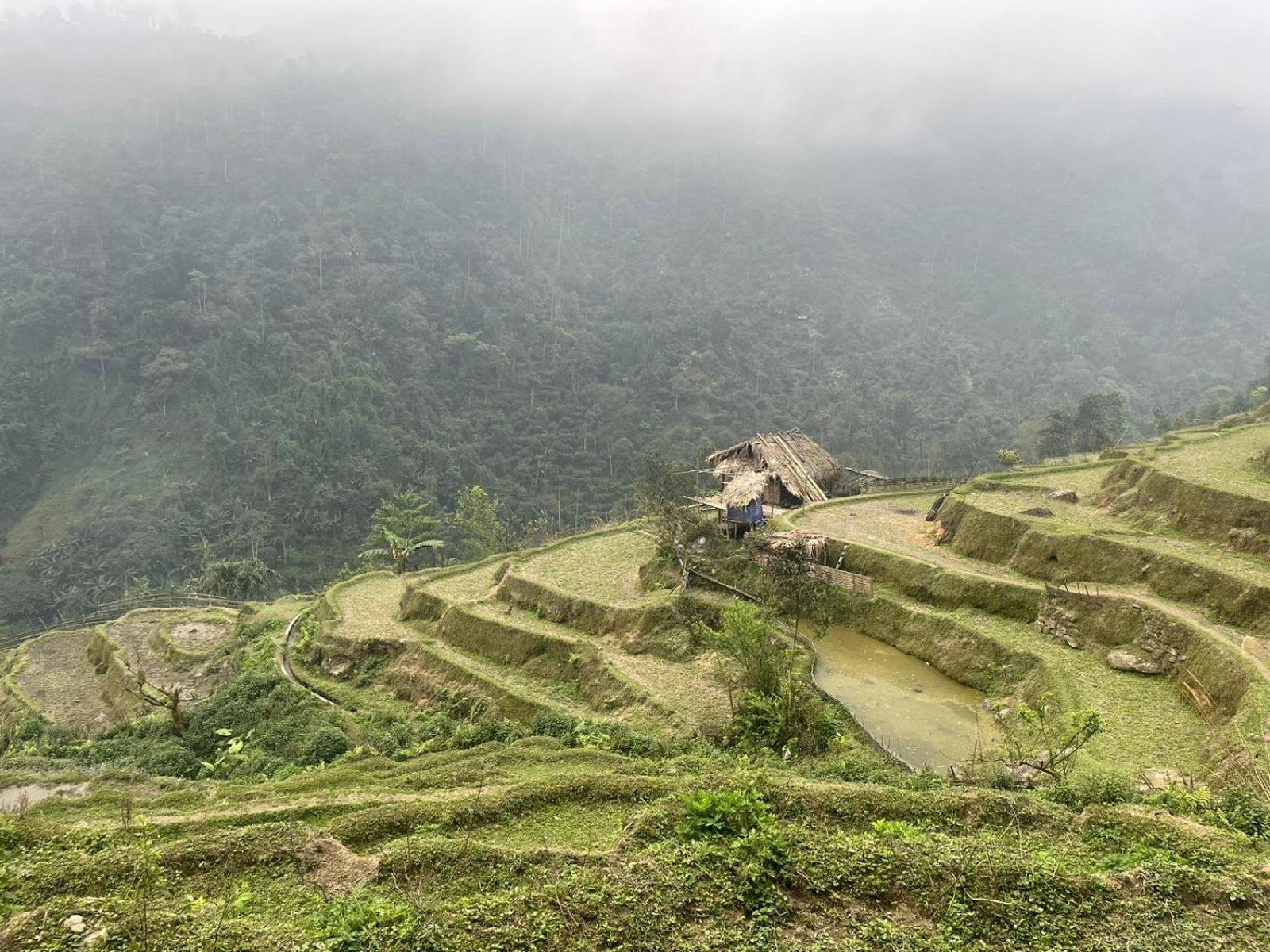 Bikki'S Jungle Homestay Ha Giang Esterno foto
