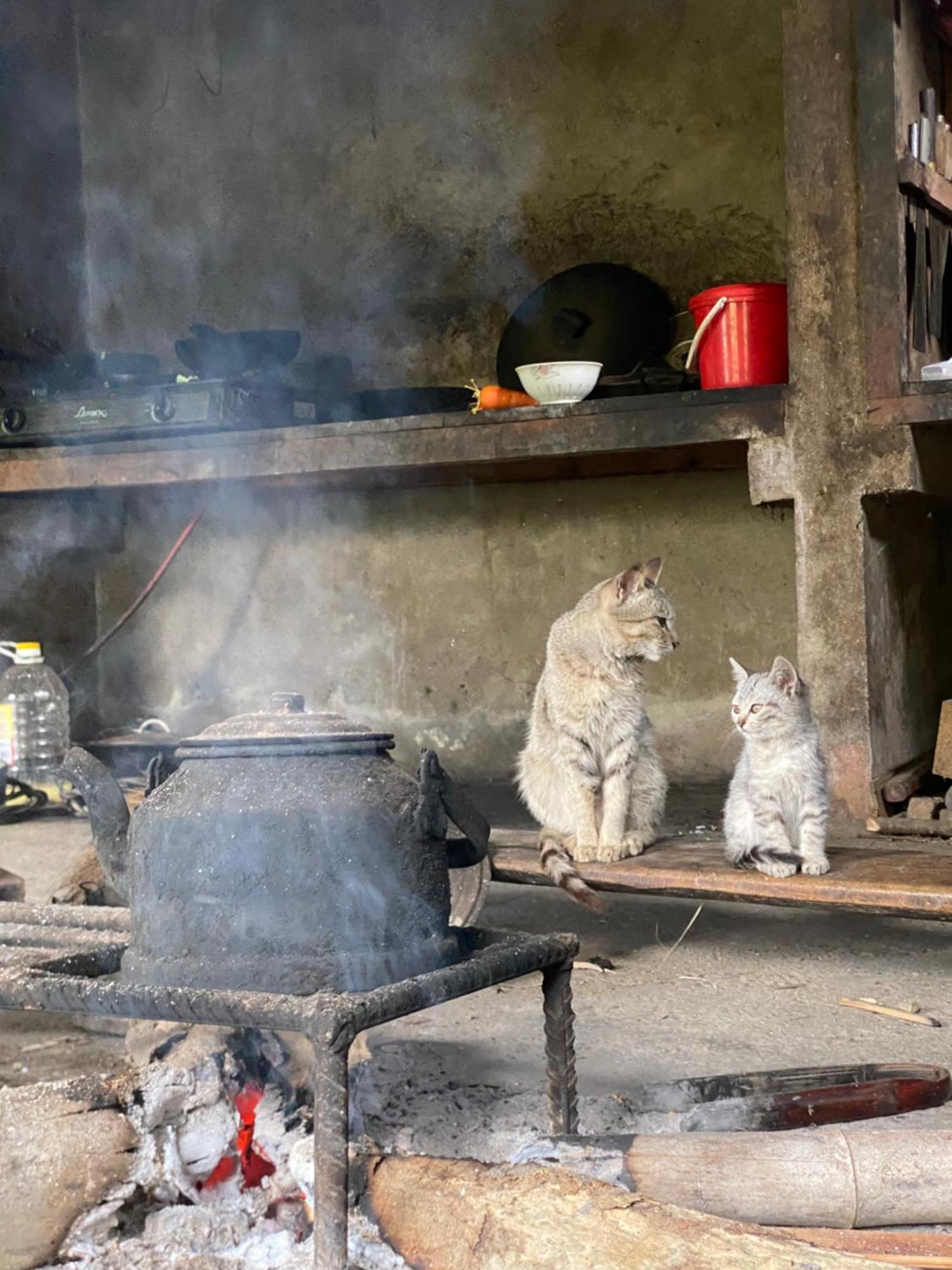 Bikki'S Jungle Homestay Ha Giang Esterno foto