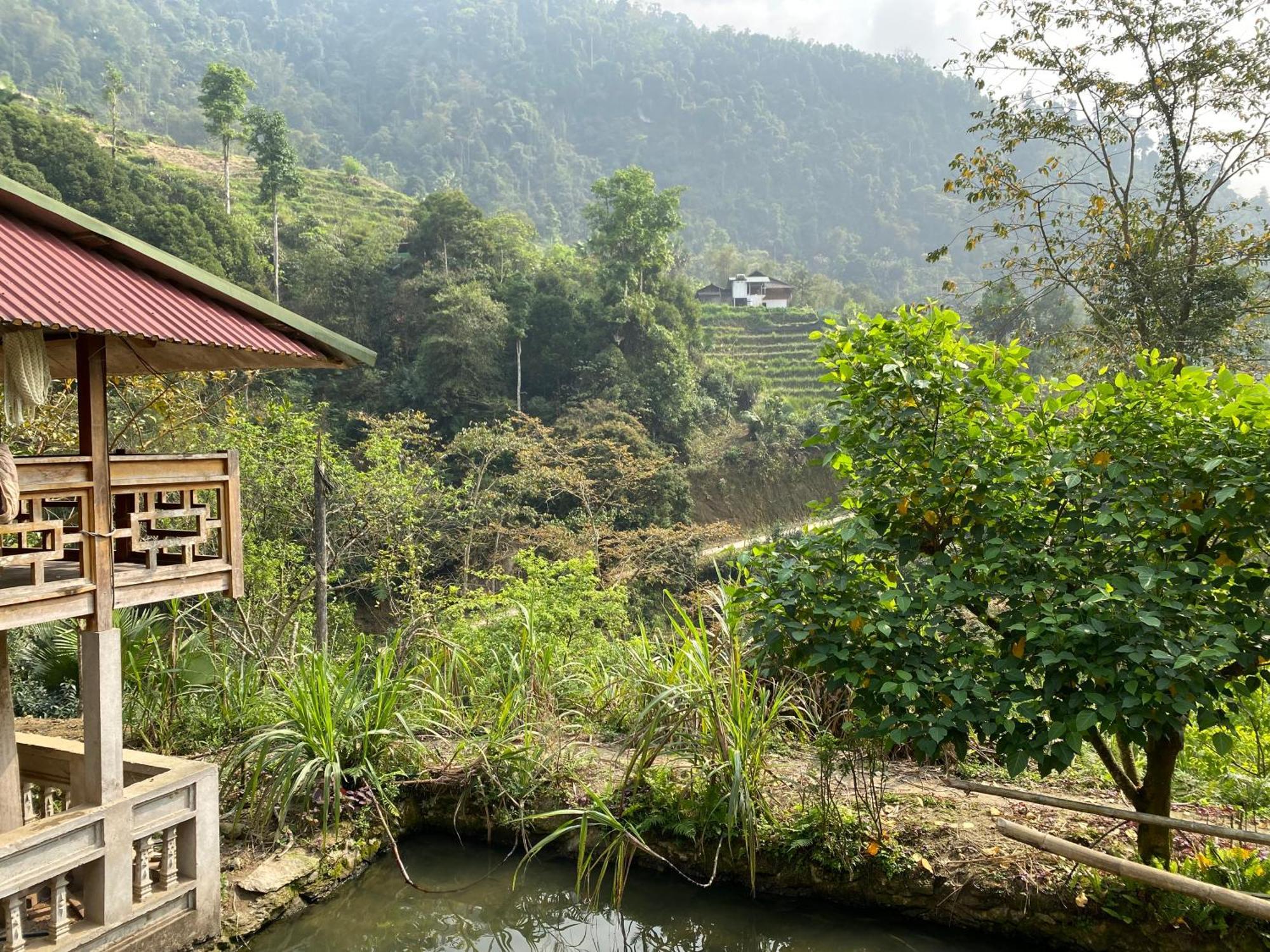 Bikki'S Jungle Homestay Ha Giang Esterno foto