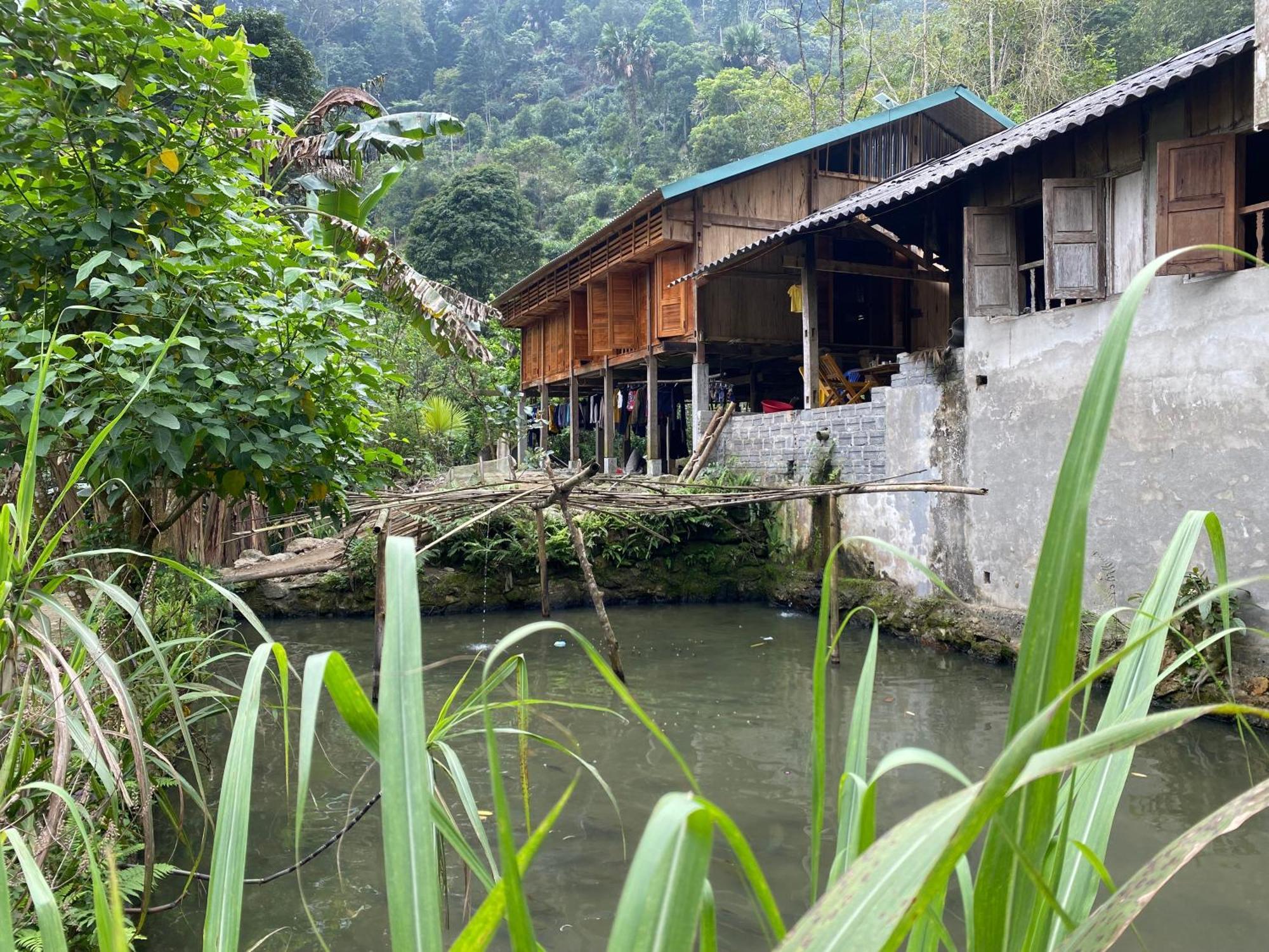 Bikki'S Jungle Homestay Ha Giang Esterno foto