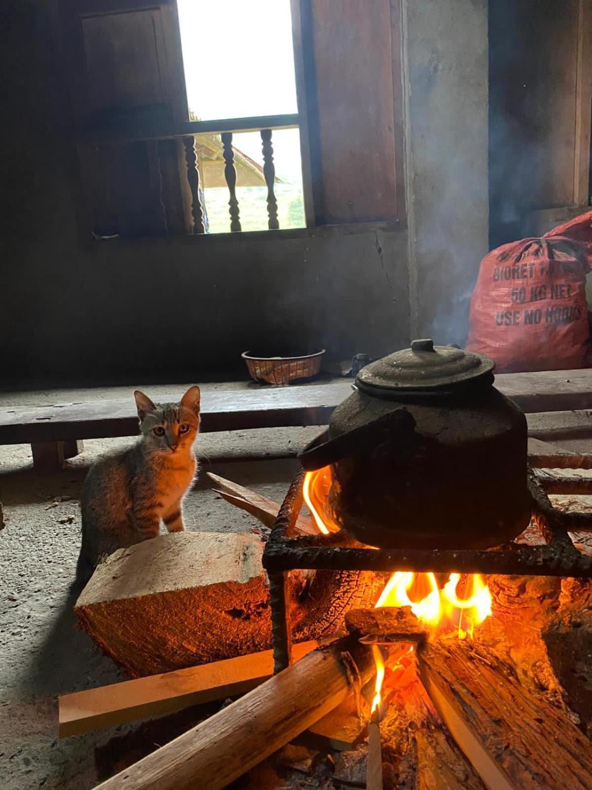 Bikki'S Jungle Homestay Ha Giang Esterno foto