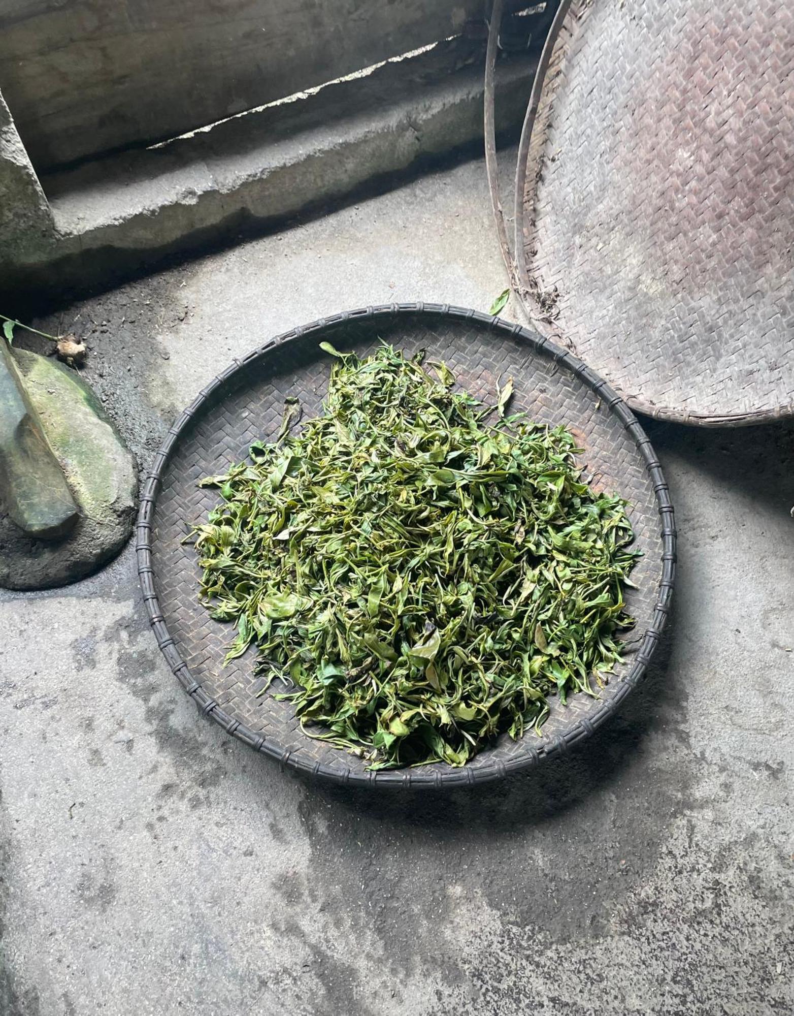 Bikki'S Jungle Homestay Ha Giang Esterno foto