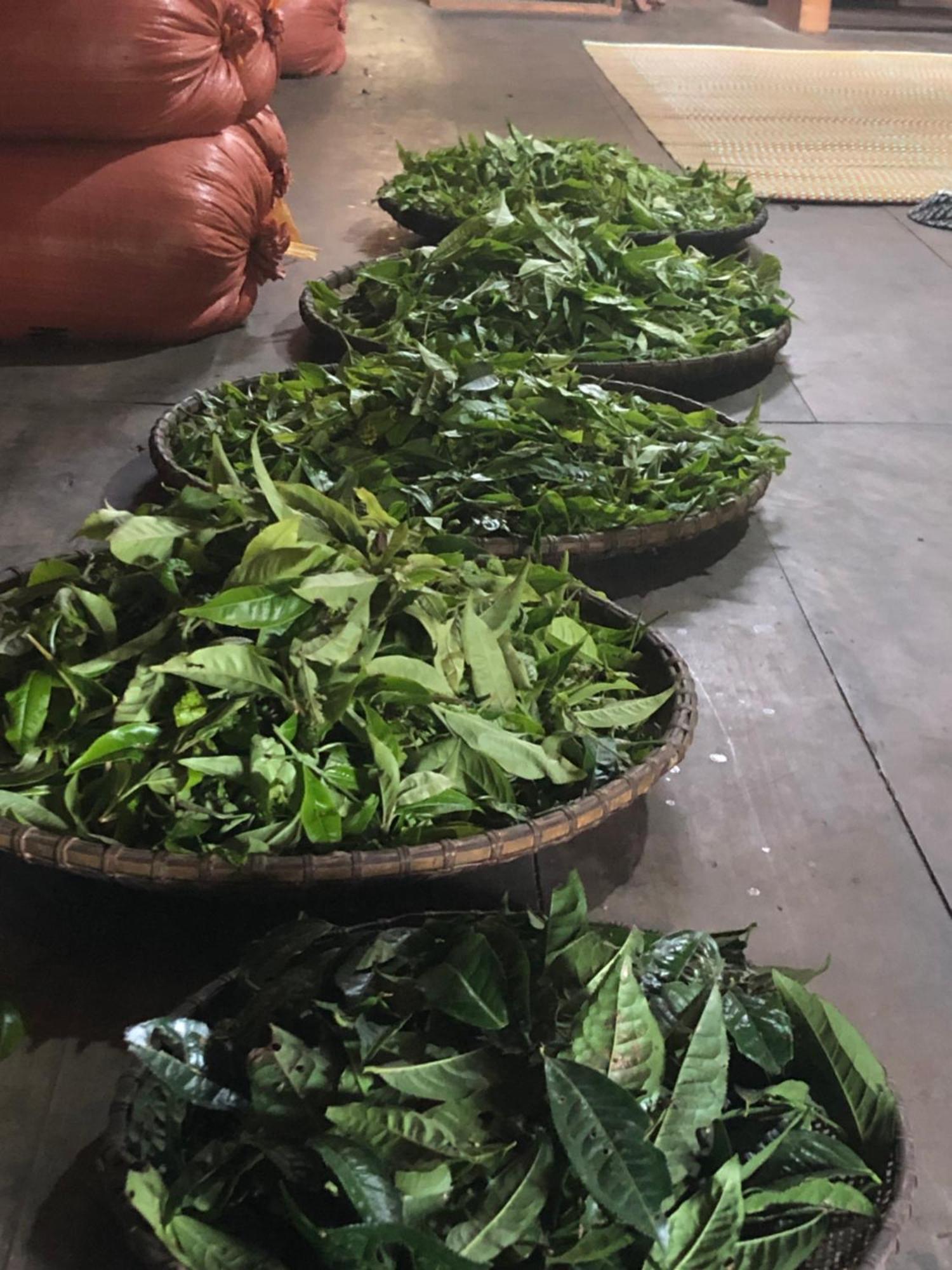 Bikki'S Jungle Homestay Ha Giang Esterno foto